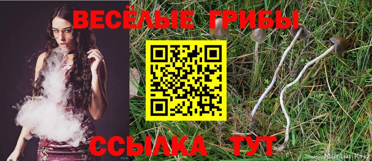 Галлюциногенные грибы GOLDEN TEACHER  Вход с VPN  Домодедово 