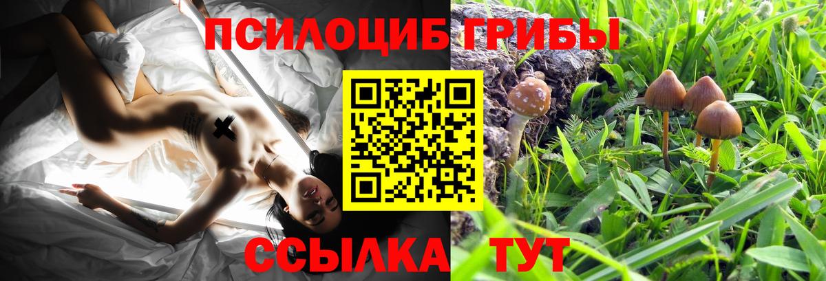 Галлюциногенные грибы Cubensis Домодедово